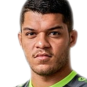 Wanderson Silva